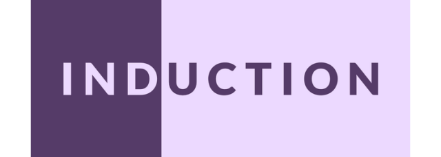 Induction logo