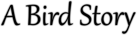 A Bird Story logo