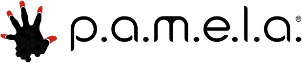 P.A.M.E.L.A. logo