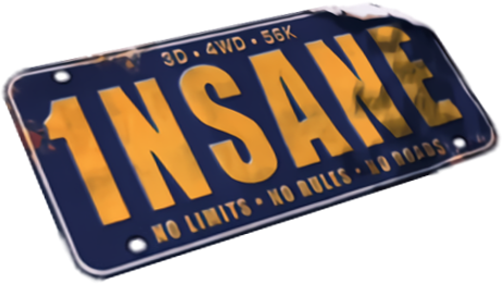 Insane (1nsane) logo