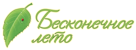 Everlasting Summer logo