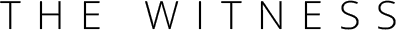 The Witness logo