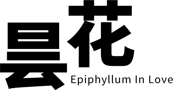Epiphyllum in Love logo