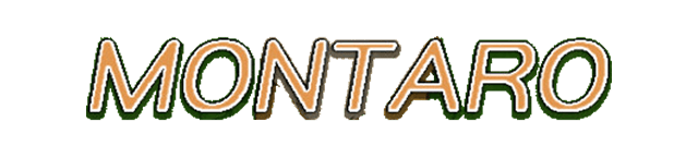 Montaro logo