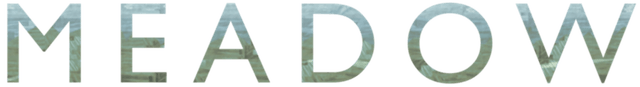 Meadow logo