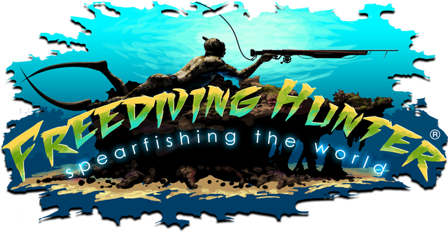 Freediving Hunter Spearfishing the World logo