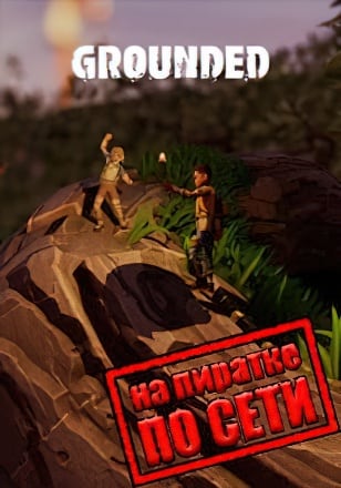 Grounded по сети