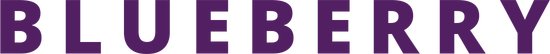 Blueberry logo