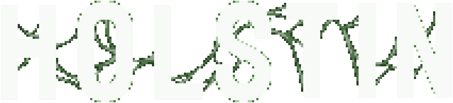 Holstin logo