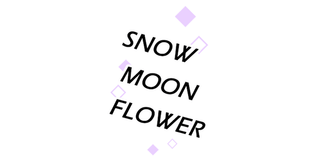 Snow Moon Flower logo