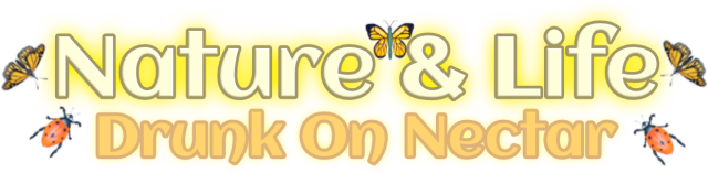 Nature And Life - Drunk On Nectar logo