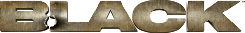 BLACK logo