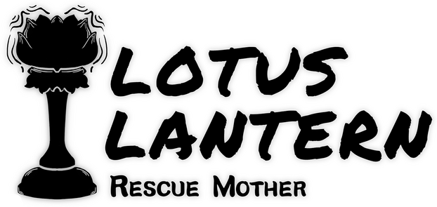 Lotus Lantern: Rescue Mother logo