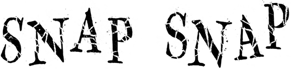 SNAP SNAP logo