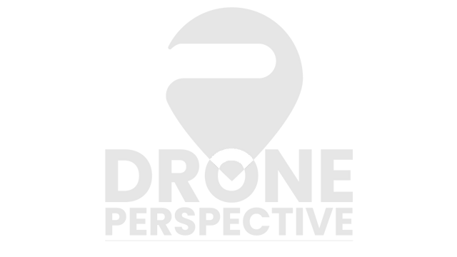 DRONE PERSPECTIVE logo