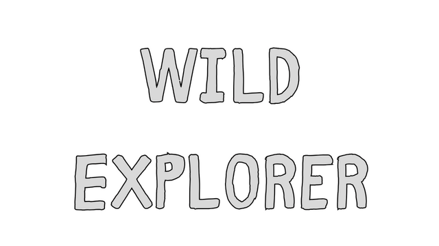 Wild Explorer logo