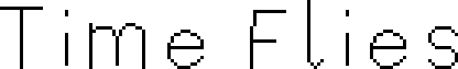 Time Flies logo