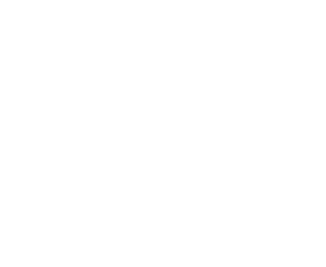 The Ruin Wanderer logo