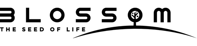 Blossom: The Seed of Life logo