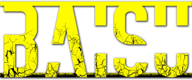 Baisu logo