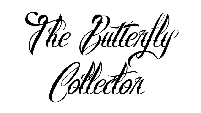 The Butterfly Collector logo