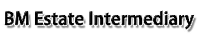 BM Estate Intermediary logo