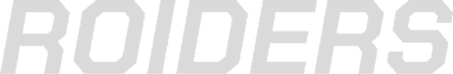 ROIDERS logo