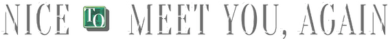 NICE TO MEET YOU, AGAIN logo