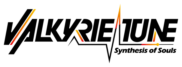 Valkyrie Tune: Synthesis of Souls logo