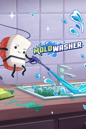 Moldwasher